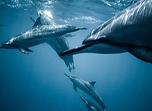 星空体育中国-JDG分享队员启程视频：出发去巴西啦，家人们请放心~